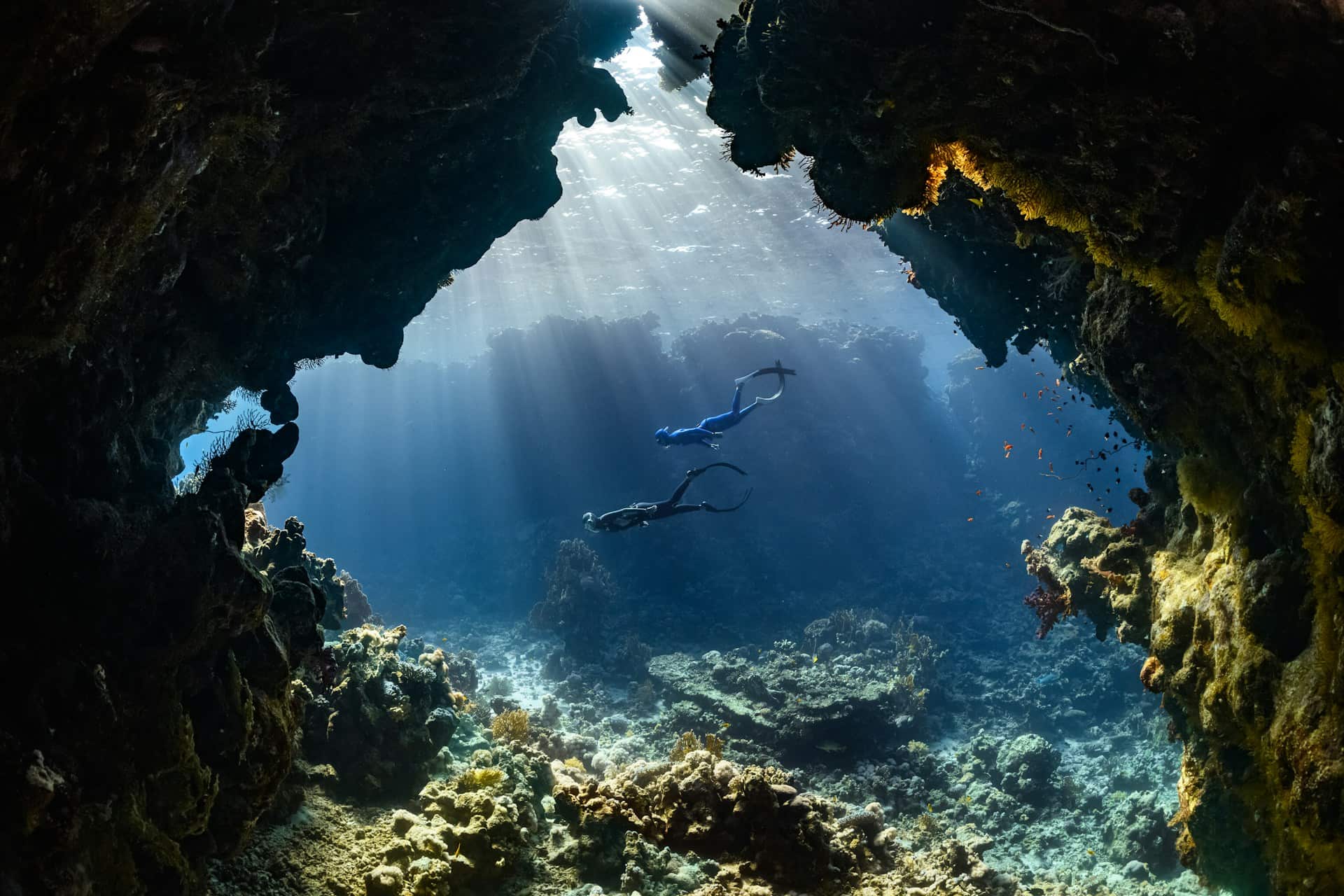 Divers in the ocean